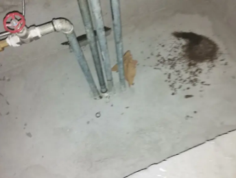 灵丘卫生间测漏水价格明细